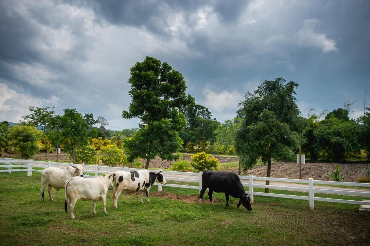 Green Me Organic Farm Stay Khaoyai Ban Khlong Yang Exteriér fotografie