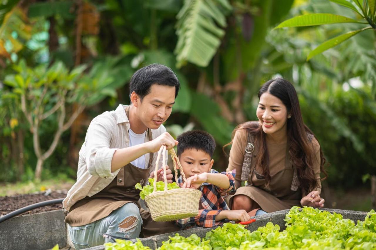 Green Me Organic Farm Stay Khaoyai Ban Khlong Yang Exteriér fotografie